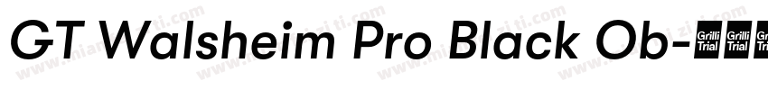 GT Walsheim Pro Black Ob字体转换